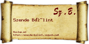 Szende Bálint névjegykártya