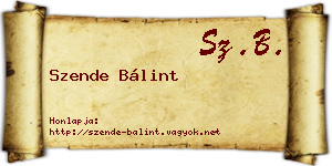 Szende Bálint névjegykártya